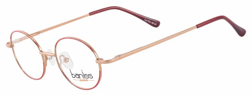 BANISS BRJ4023